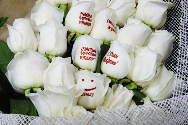 一束带着祝福的白玫瑰图片下载