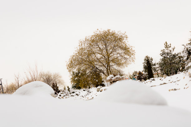 雪人山水黑白色图片下载