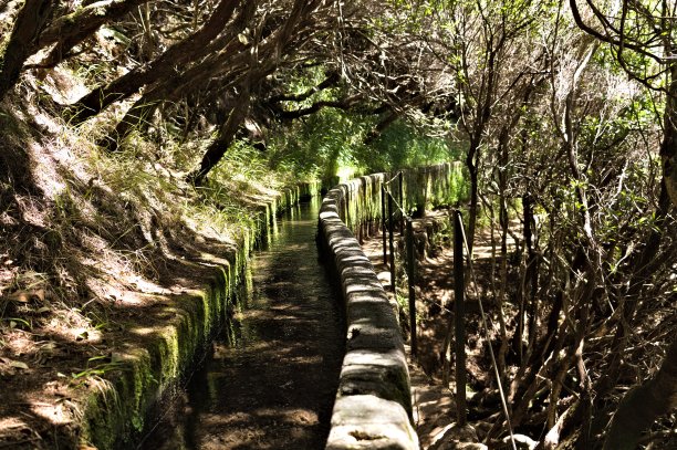 森林中沿小路的“莱瓦达”水渠图片下载