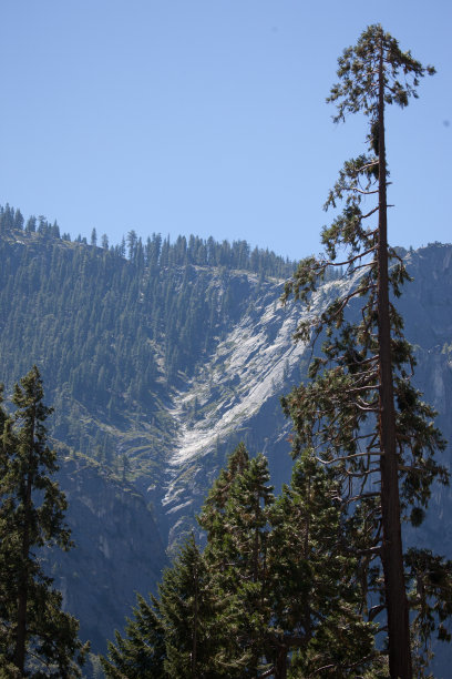 优山美地的瀑布图片下载