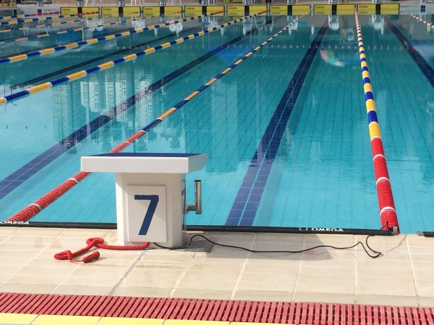 游泳池设有泳道、泳线和跳台图片下载