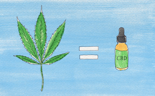 大麻叶等于CBD油图片下载