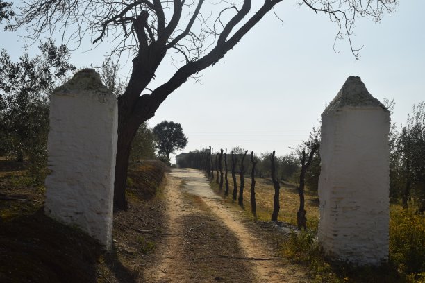 庄园入口图片下载