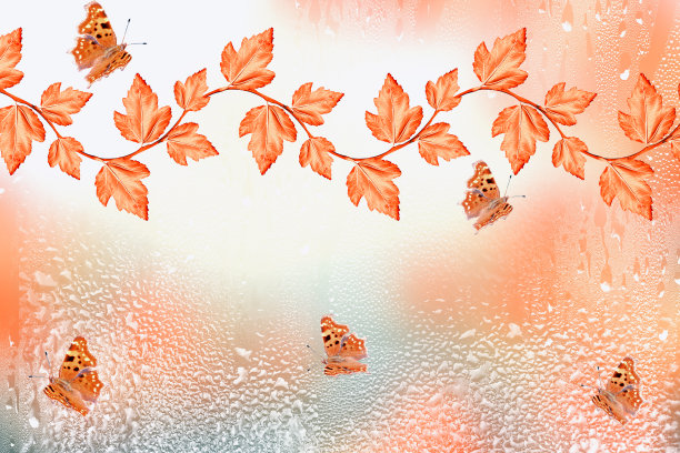 彩色的叶子图片下载