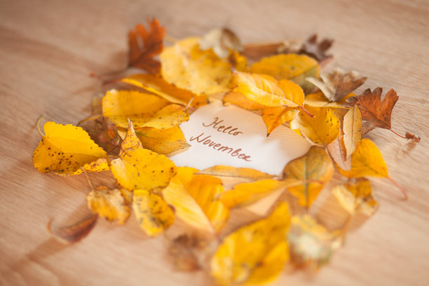 水彩秋天背景图片下载