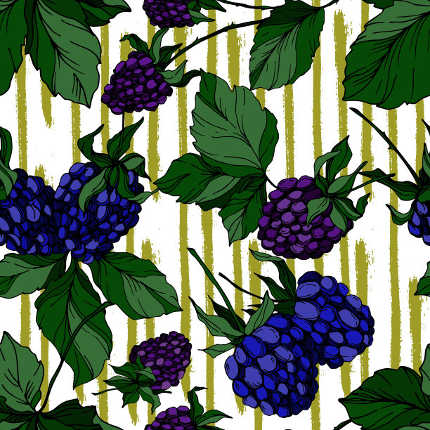黑莓的健康食品。黑白篆刻水墨艺术。无缝的背景图案。织物墙纸印花纹理。图片下载