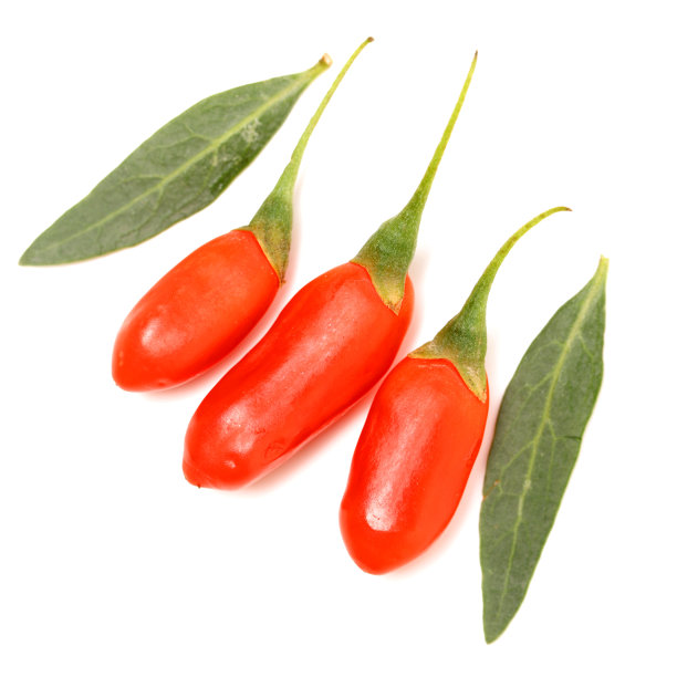 枸杞浆果图片下载