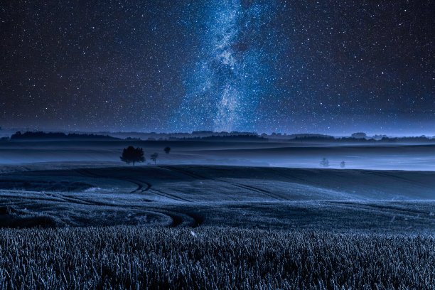 夜晚，银河中满是一棵树图片下载