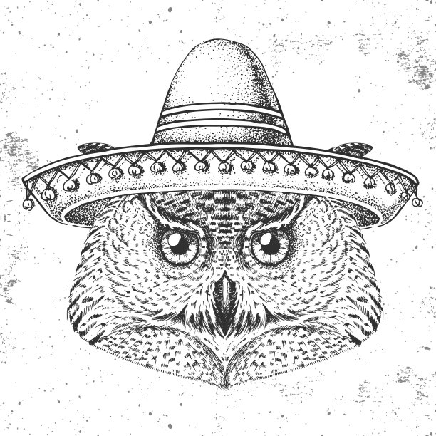 戴着宽边帽的时髦猫头鹰。手绘猫头鹰口鼻图片下载