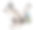 一只戴着帽子、拄着拐杖的老鼠站得很高，有一条弯曲的尾巴，里面放着一个里面有蜡烛的圣诞灯笼图片下载