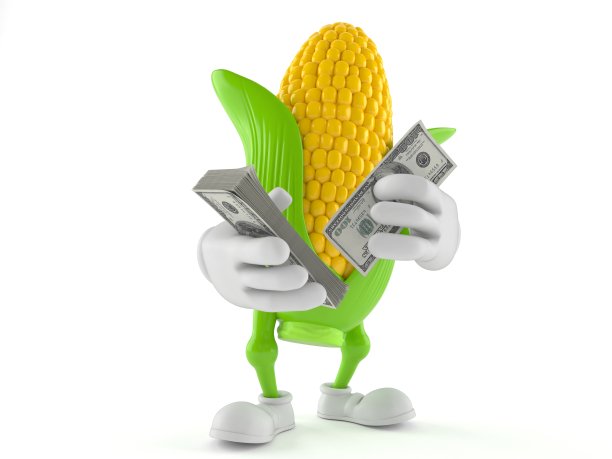 玉米字符数钱图片下载