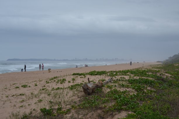 德班城图片下载