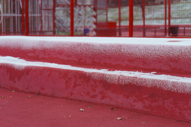 莫斯科迎来了第一场雪。图片下载