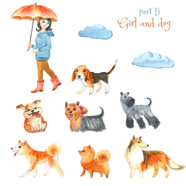 一组可爱的纯种狗孤立在白色。女孩是个爱狗的人。图片下载