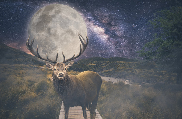 一头头上挂着月亮的鹿。那只鹿驮着整个宇宙。图片下载