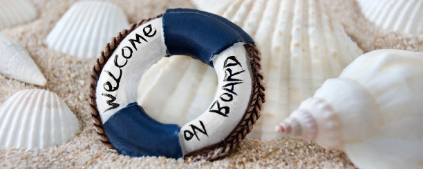 SPA贝壳以沙为背景图片下载