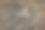 一千卢比的印尼硬币图片下载