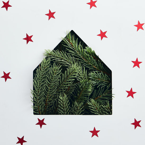 圣诞房子的轮廓图片下载