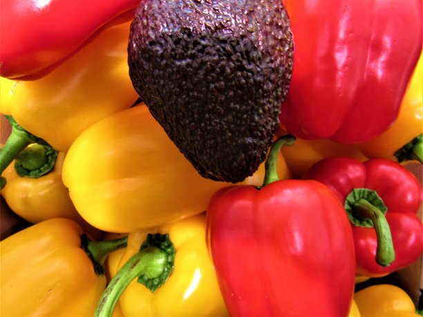 11月。丰收的颜色。图片下载