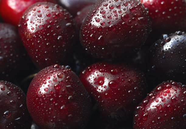 特写的成熟的红樱桃覆盖着水滴。多汁的健康的水果。樱桃微距摄影。图片下载