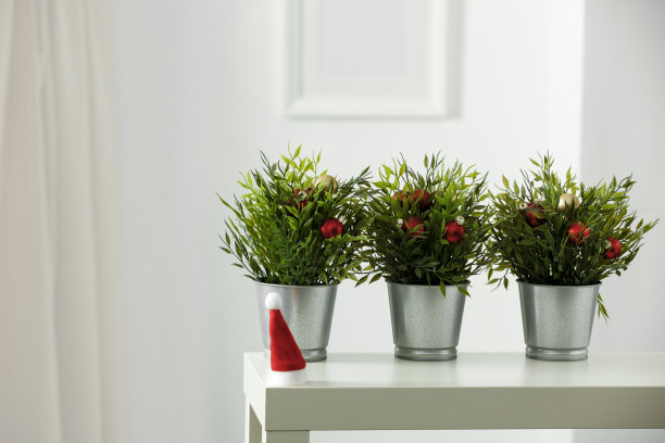 银色的花盆里放着绿色的小植物。白色的木桌为您的装饰留出了空间。白色墙壁与框架图片背景。圣诞组成。冬天的时间。副本的空间。图片下载