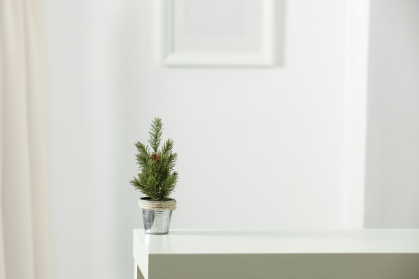 银色的花盆里放着绿色的小植物。白色的木桌为您的装饰留出了空间。白色墙壁与框架图片背景。圣诞组成。冬天的时间。副本的空间。图片下载