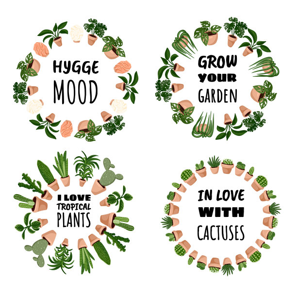 花环装饰hygge设计合集。盆栽多肉植物圆形组合。舒适的lagom斯堪的纳维亚风格植物系列图片下载