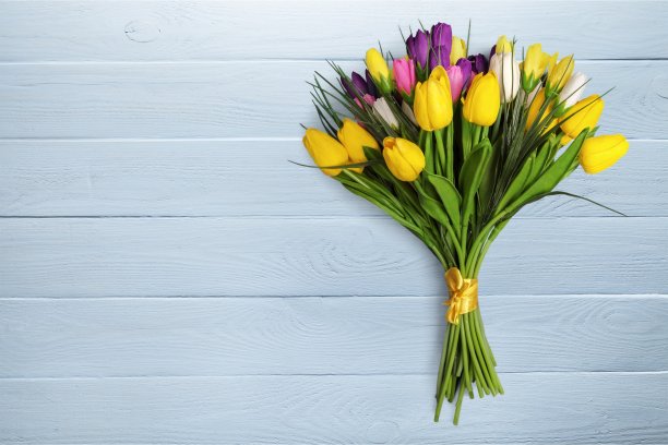 美丽。图片下载