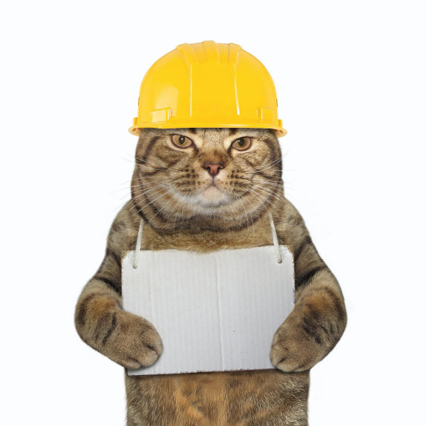 脖子上挂着空白标志的猫图片下载