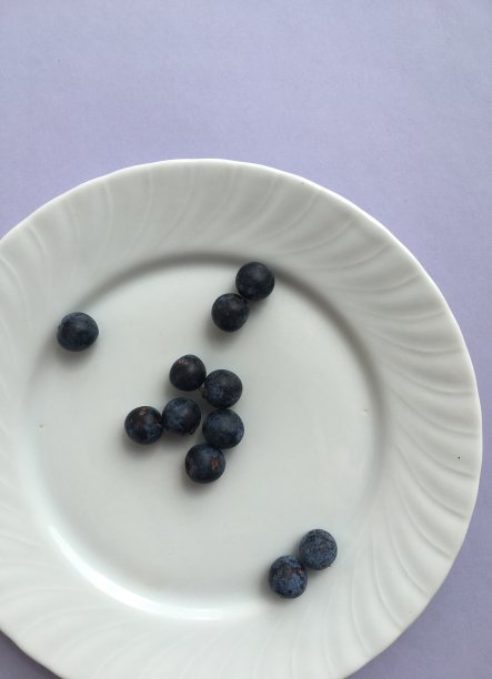 蓝莓在板图片下载