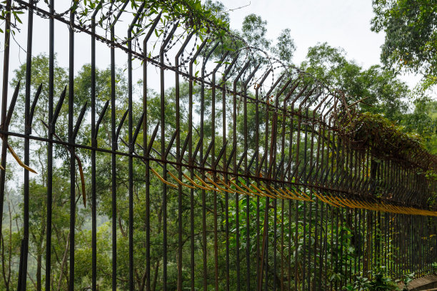 有尖刺的铁丝网图片下载