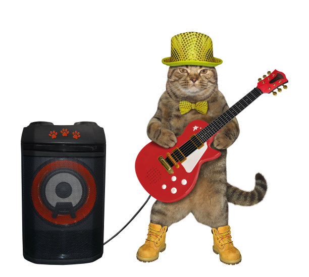 戴红帽子的猫弹电吉他图片下载