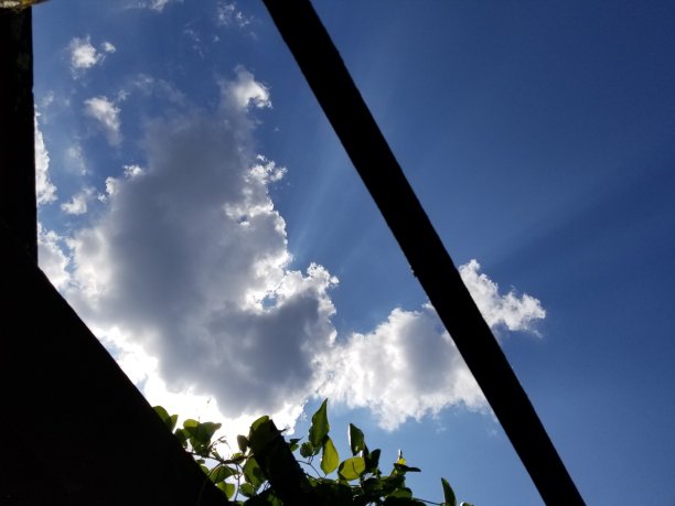 透过木头，仰望明亮多云的蓝天图片下载