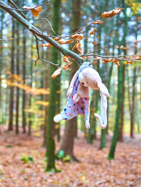 被遗弃的玩具图片下载