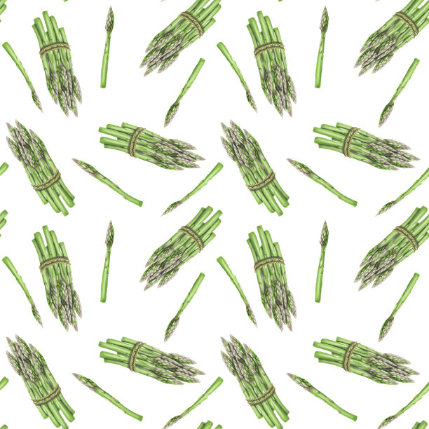 无缝模式与芦笋手绘孤立在白色背景图片下载