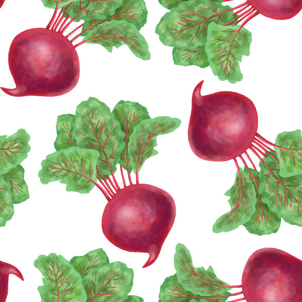 无缝模式与手绘甜菜根在白色背景图片下载