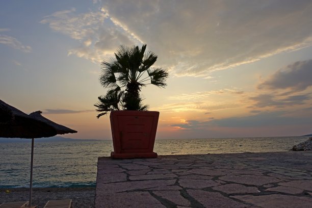 阿尔巴尼亚萨兰达日落时的棕榈树图片下载