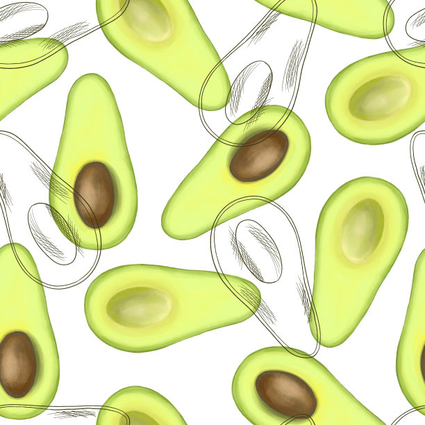 无缝模式与牛油果，手绘素描风格上的白色背景图片下载