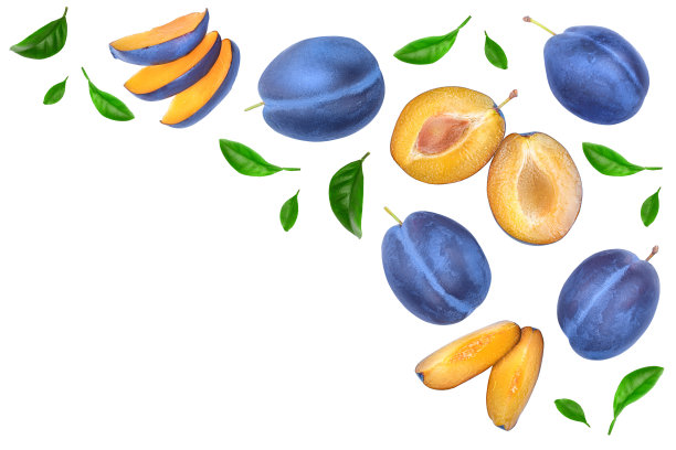 新鲜的青梅和半叶孤立在白色背景与复制空间为您的文本。前视图。平躺图片下载