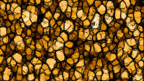 黄色抽象时尚细胞背景图片下载