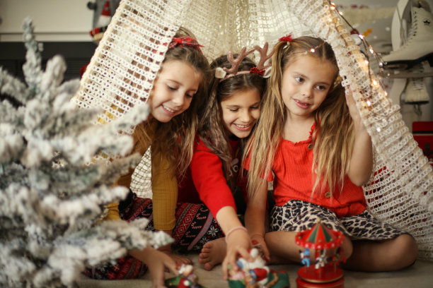 孩子们喜欢圣诞节。图片下载