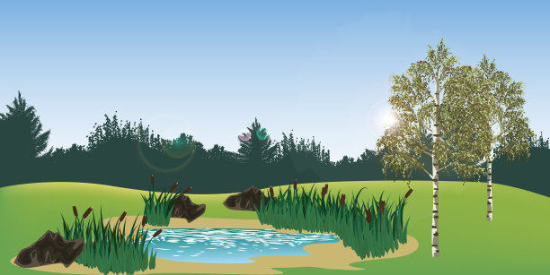 绿色的自然景观图片下载