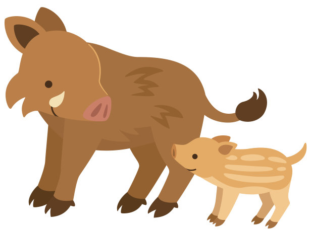 野猪父母和孩子互相凝视的插图图片下载