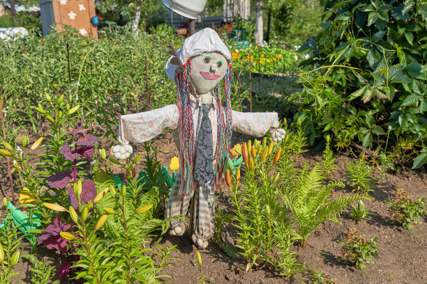 一个滑稽的稻草人站在花园里，穿着条纹裤子，打着扎着辫子的领带。保护作物的稻草人图片下载