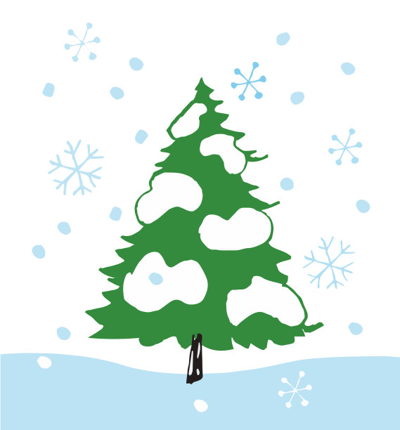 冷杉树和雪图片下载