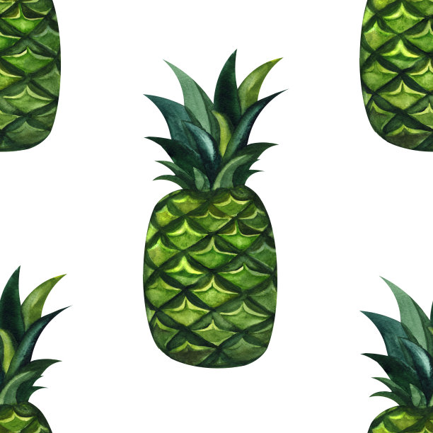 水彩无缝花卉图案与菠萝手绘装饰背景。民族无缝图案点缀。印刷纺织品，布料，墙纸，剪贴簿图片下载