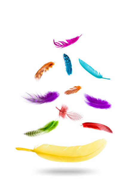 飞翔的羽毛颜色。孤立在白色背景上。图片下载