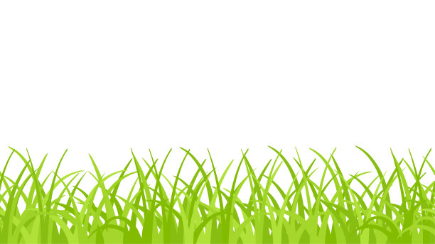 矢量绿草无缝边界上的白色背景图片下载
