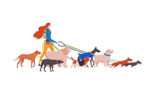 设置卡通风格的图标狗与私人遛狗。图片下载