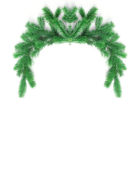 云杉枝的装饰框架。圣诞创意概念。竖条幅，简单平铺构图。图片下载